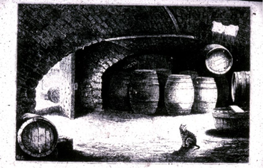 Archive cat image