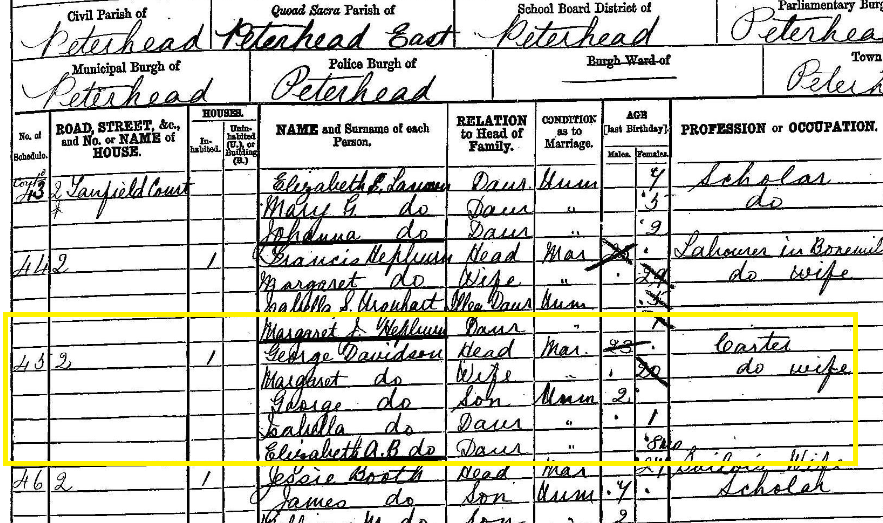 George Davidson Census