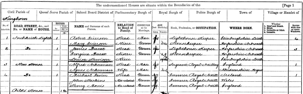 A black and white scan of a page of the 1881 census enumerating Mary Grierson, James Ducat and others.